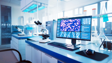 Rectangle background